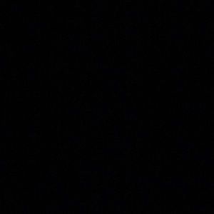 Meet your Posher, Lizbeth